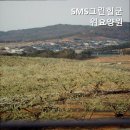 SMS 그린힐 군위요양원 | 대북리요양원 SMS그린힐군위요양원 안전하고 따뜻한 돌봄