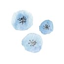 춘기목장 이미지