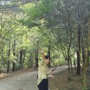 6월식사모 광릉수목원~더 늘봄 이미지