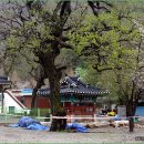 박준덕부부효열각 이미지