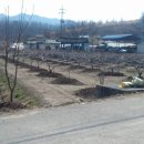 온동회관 이미지