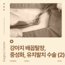 대흥동물병원 이미지