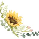 스테이 732 이미지