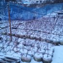 유목농장 이미지