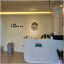 라이프독 이미지