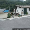 소나무안경 이미지