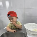 한물목장 네이버블로그