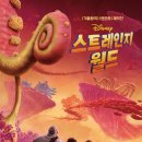 이든비주얼스튜디오