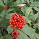 닥터정한의원 이미지