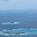 팜 휘트니스 | W. 몰디브 신혼여행 후기! with 팜투어