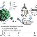 나노병원 이미지