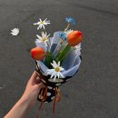 가수원로-4 | 괜찮은 하루의 기준은 뭘까