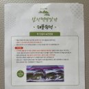 지보떡방앗간 | [떡주문] 진한 쑥향과 쫄깃함이 제대로! 해남 삼산떡방앗간 해풍쑥떡(#엄마돈 엄마산)