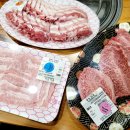 자인가든 이미지