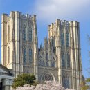 경일대학교 산업경영대학원 | 경희대학교 경영대학원 6차산업융합경영전공 2026 모집요강 정리 ㅣ경영대학원원우모집