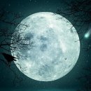 성원산업 이미지