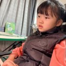 (온라인)영상영어 초급 | 노래로 배우는 영어 워드파이 초등 아이랑 직접 써 본 후기