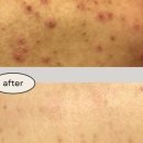 몽드로쉐 이미지