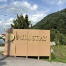 스테이휴 물.새.숲 | 내돈내산스테이펫홍천 애견동반스테이휴그램핑