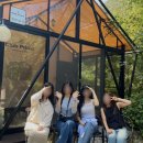 일상 포토덤프 1박2일 글램핑, 원주 여행 ☁️‧⁺