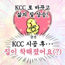 군산 KCC창호 시공후기｜냉난방 효율 높여준 창호교체 리얼 후기