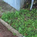 공간in동복 이미지