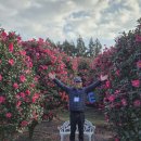 동백팜 | 제주 휴애리 동백축제 후기｜12월 겨울에도 따뜻했던 서귀포 남원읍 여행