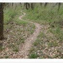 무안영산 이미지