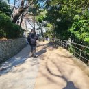 팰릭스바이에스티엑스 이미지