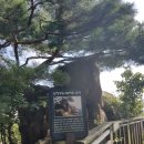 풍죽 1,291~1,300 반산 눌언 10구 이미지