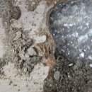 도봉-도봉-서울도봉-2212 이미지