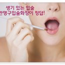 [강북반영구화장] 반영구입술화장으로 틴트입술 만들기! 이미지
