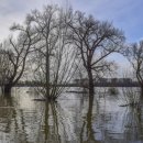 태평양환경 이미지