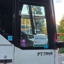 스카이 | 뚜벅이 밴프 여행 밴프 곤돌라, 스카이비스트로 후기