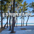 임랑민속 | 부산근교 캠핑장 울주해양레포츠센터 A16 후기
