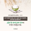 도곡농협라이스센터 이미지