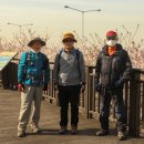 신덕1호 이미지