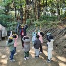 매봉산 유아숲체험원 이미지