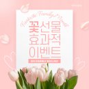데이지화원 이미지