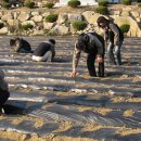 금바위농장 이미지