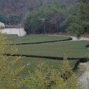 가우도 펜션 이미지