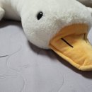 몽주르 이미지