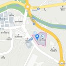 금산인삼 Daum카페