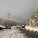 몽환 | 함백산 설경 후기｜곰탕 날씨 속 몽환적인 3월 산행