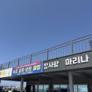 장사항 마리나 네이버블로그