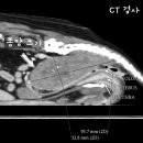 강내동물병원 이미지