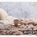 월드크리닝울산남구지사 이미지