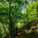 ⛰️ 8월25일 월요일 정기🔮제285차 경북 문경 대야산 산행및 ⛰️ 용추계곡😽물놀이 👏 🏹 (블랙야크,산림청,100대명산)💞 이미지