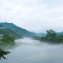 오늘도 신선 이미지