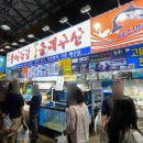 제주 동문시장 주변 맛집 제주도 회포장